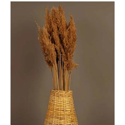 Pampas Vase Kinesisk Vase Blomsterholder