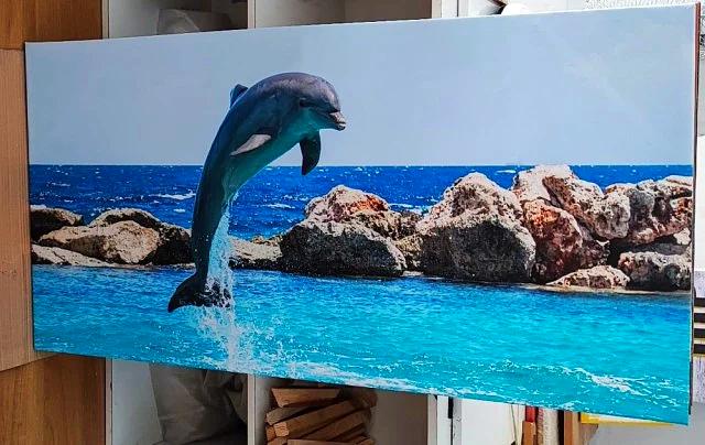 Delfin-60X120 CM