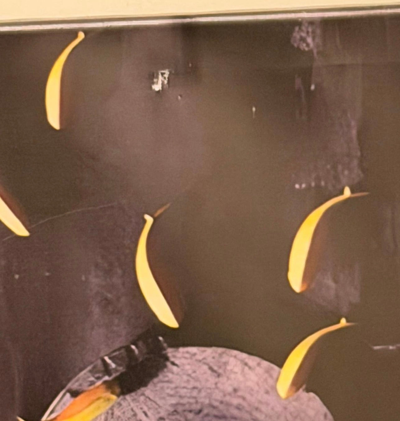 "Blok Design Dekorativt Abstrakt Gullfisker og Treverk Surrealistisk Lerretsveggmaleri 120x40cm Stort Bilde."