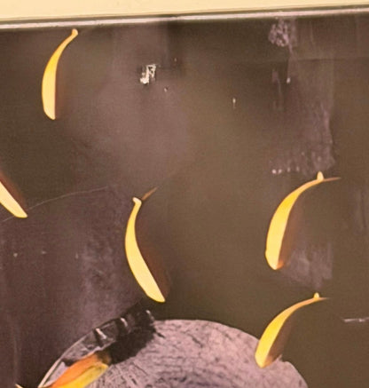 "Blok Design Dekorativt Abstrakt Gullfisker og Treverk Surrealistisk Lerretsveggmaleri 120x40cm Stort Bilde."