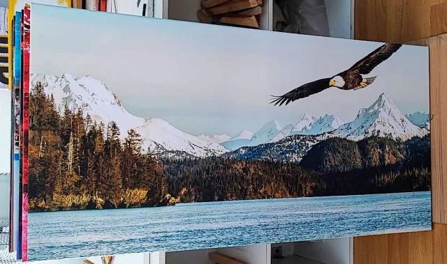 Eagle Flight-60x120 cm