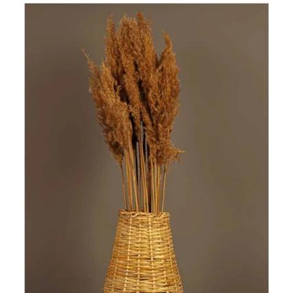 Pampas Vase Kinesisk Vase Blomsterholder